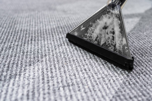 The Prime Carpet Cleaning team in Auckland