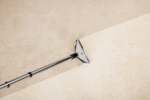 Empty rental property with freshly cleaned carpet