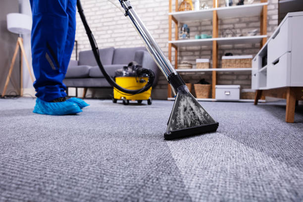 Freshly steam cleaned carpet in an Auckland lounge